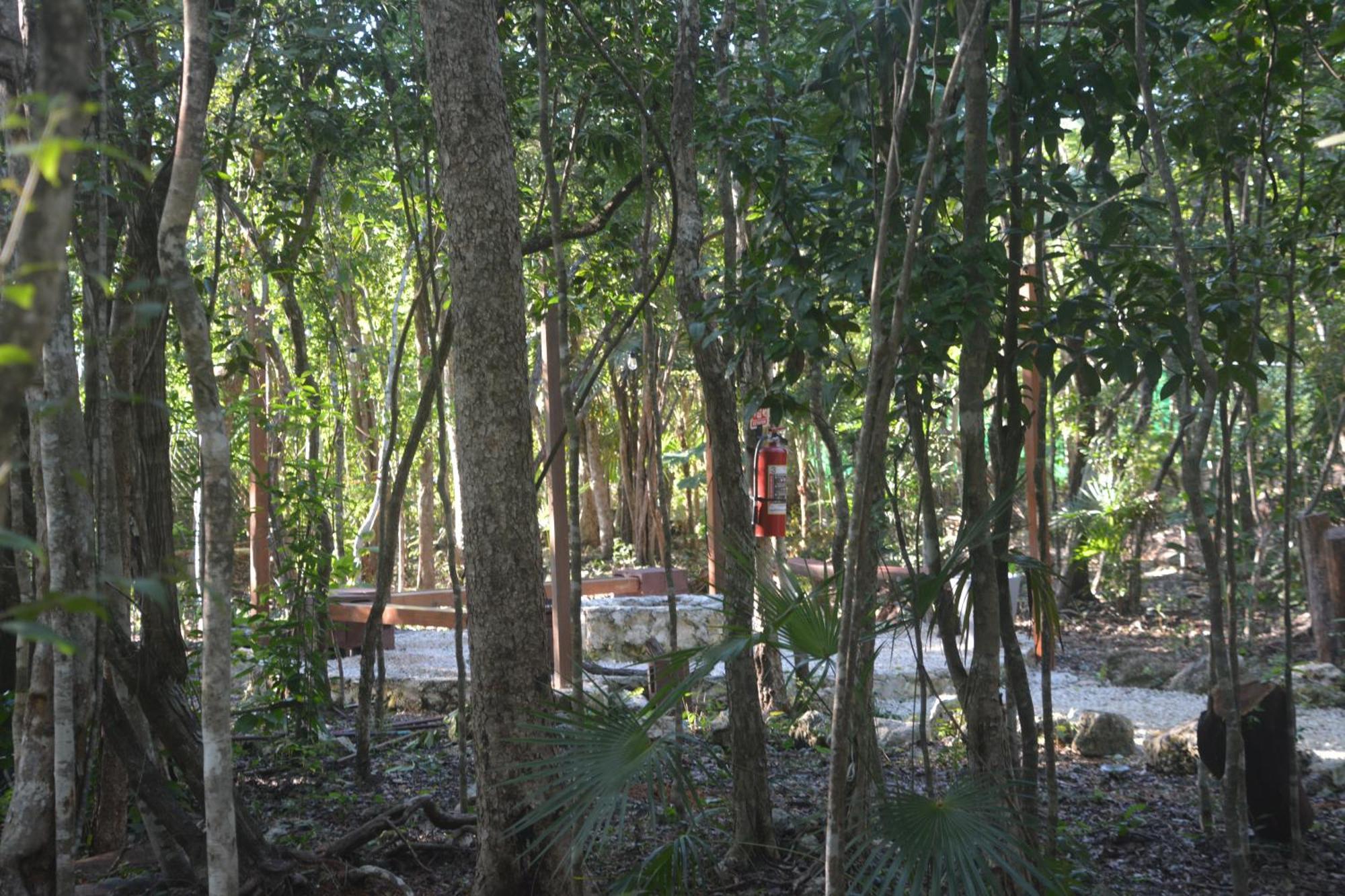 Glamping Mayan Glam Tulum Exterior foto